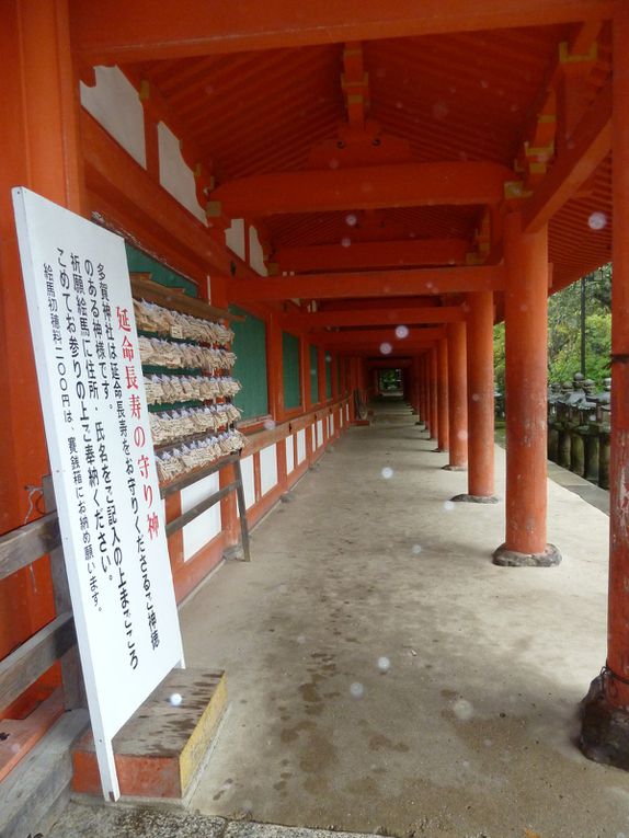 Nara sous la pluie avec Karin