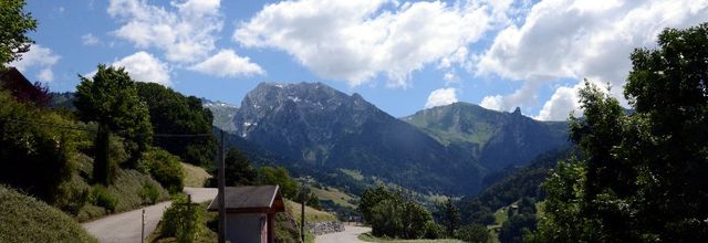 LES BONNES BACTERIES & MOISISSURES DU FROMAGE DE SAVOIE (3)