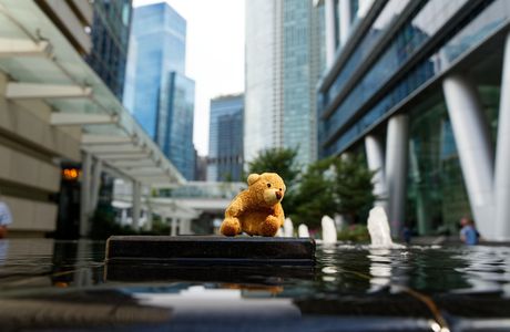 Singapour Juillet 2019 - Teddy in the city !!