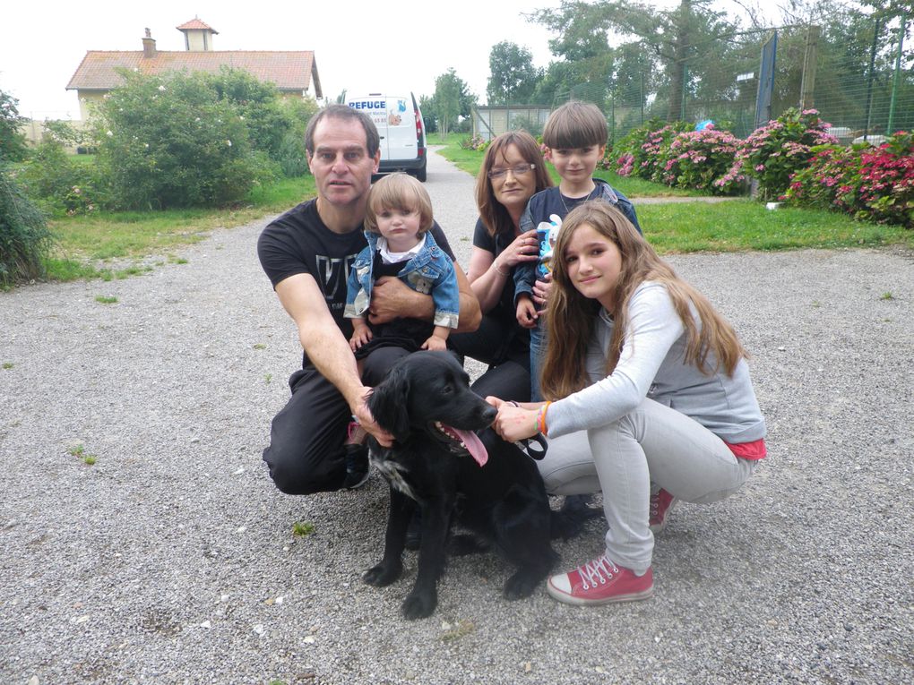 Album - CHIENS-ADOPTES-mai-juin-juillet-2012