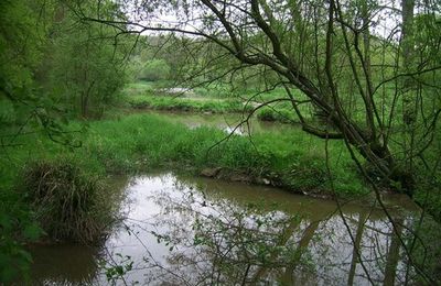 Photos du parc de la haye à AVRILLE