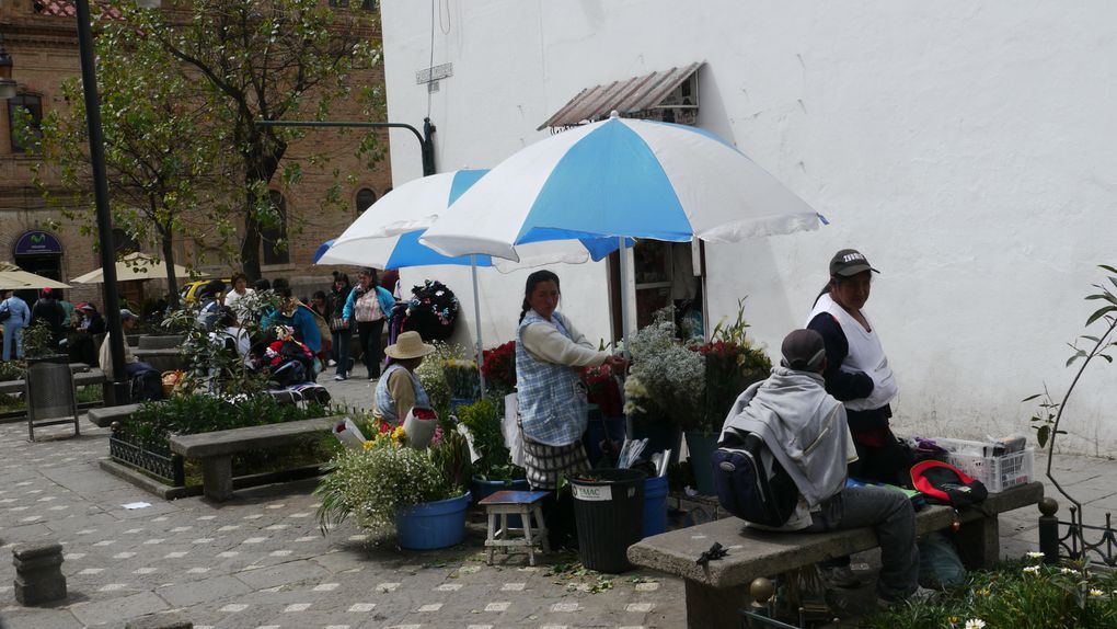 La moitié du monde, Quito, Cuenca, l'Amazonie, les communautés indiennes, les routes défoncées, l'accueil en famille, mille et une choses à relater... souvenirs, souvenirs...