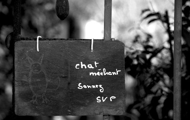 Attention....chat méchant....