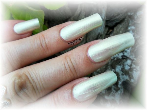 vernis HD modelite L24 - nails papillons