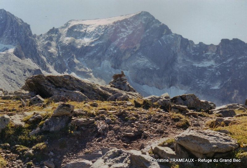 RANDO 6 - PLAN FOURNIER/REFUGE DU GRAND BEC/COL DE LESCHAUX