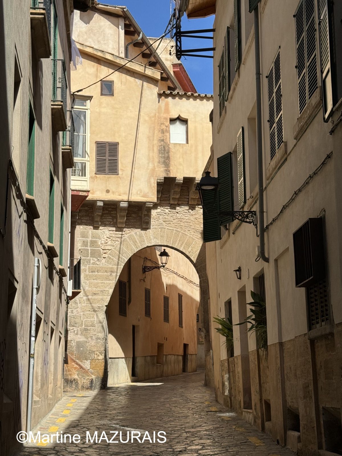 Palma Almudaina