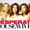 DESPERATE HOUSEWIVES