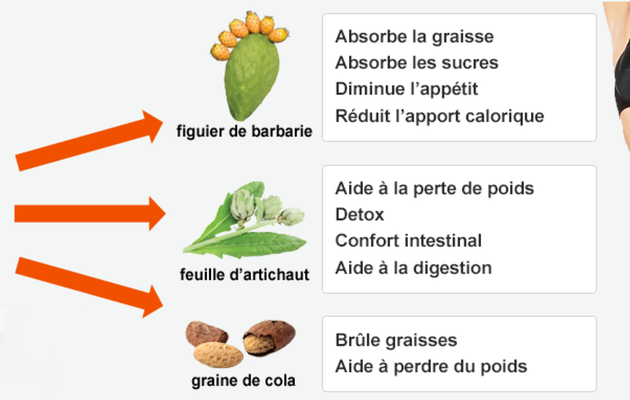 Produit efficace pour perdre du poids