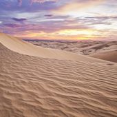 Images du jour : Beauté du désert
