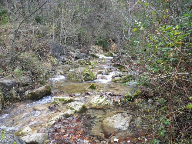 Balade sur les bords d'un ruisseau 