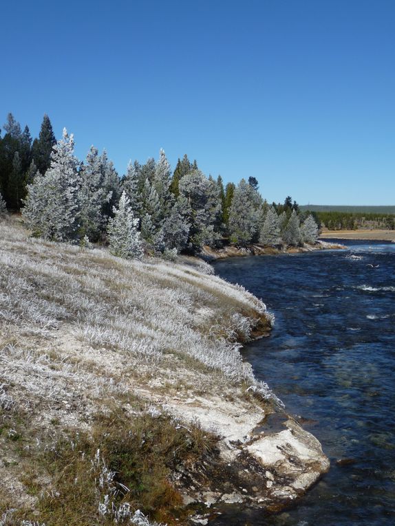 Album - 15.Yellowstone (Wyoming-octobre)