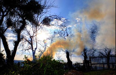 FEU DE JARDIN