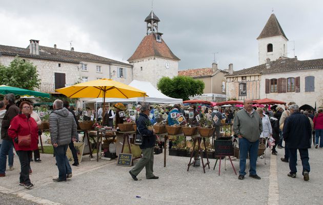 Tournon d'Agenais : Une foire aux fleurs réussie malgré les averses !