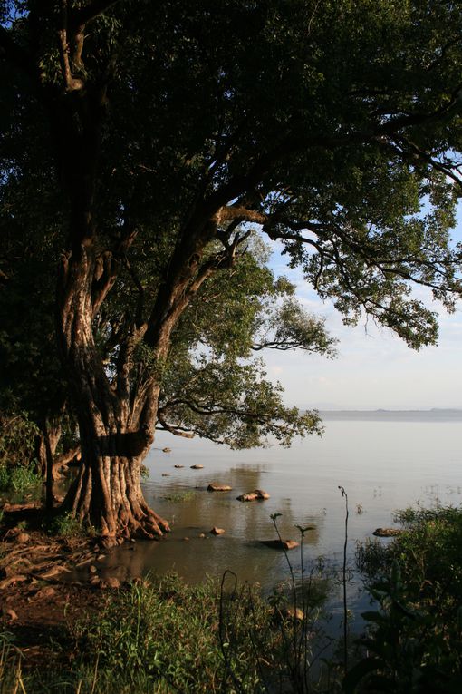 Bahar Dar, Lac Tana et Gondar, Nord-Ouest.