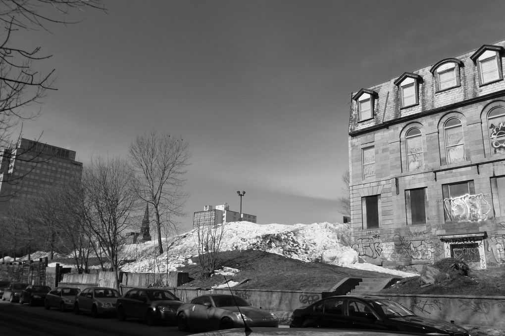 balade au parc du Mont-Royal et dégustation de poutine...