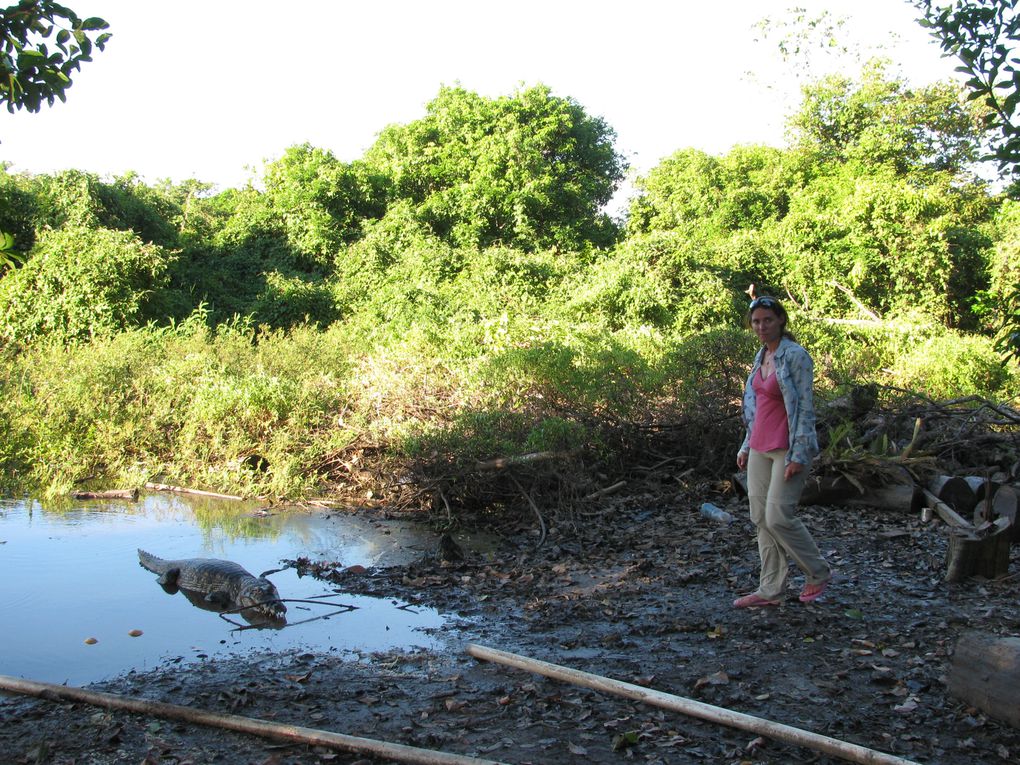 Album - 0003 - Bolivie 1 - Amazonie