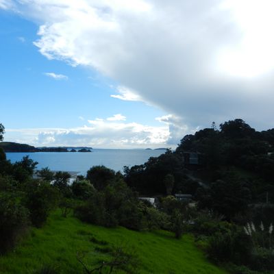 Du couchsurfing à Waiheke Island but without Brice de Nice !