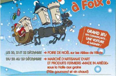 Stage n°4 : Mairie de Foix