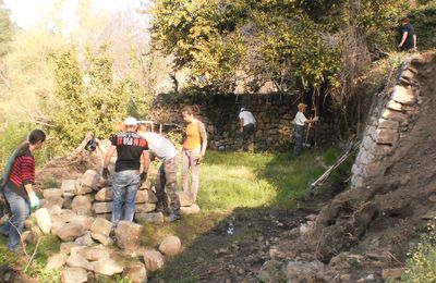 Le Mai des terrasses : restauration de murs de faïsses