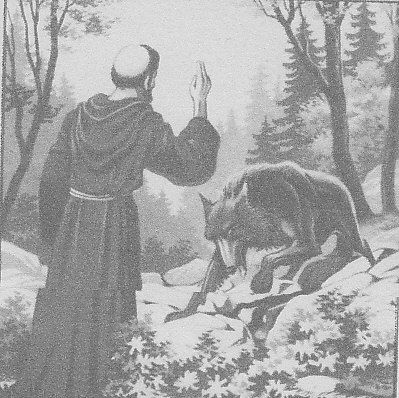 Saint-François d'Assises : le loup de Gubbio... vérité ou légende ?