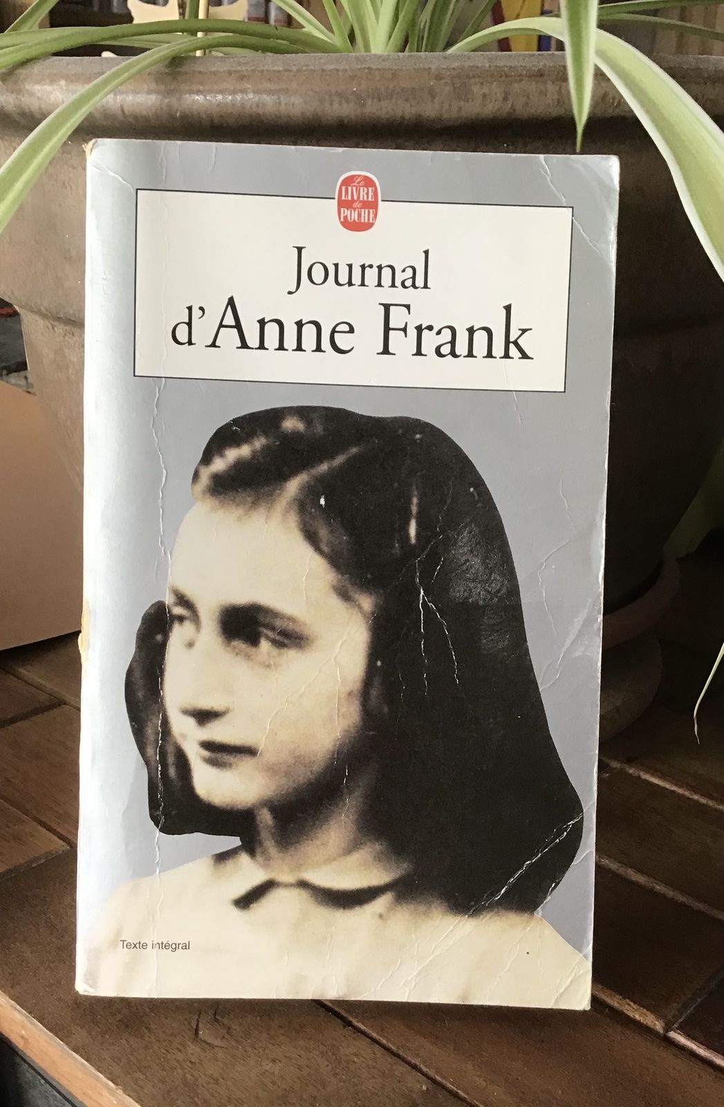 Les Derniers Jours D Anne Frank Le journal d’Anne Frank - Lire sous la pluie