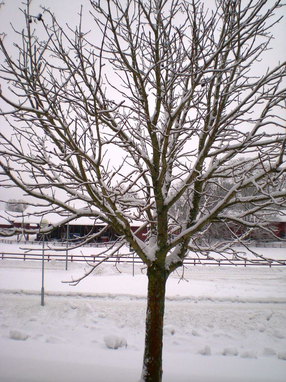 les photos un peu partout où je me ballade, de la vue de ma chambre à des paysages plus lointain ...