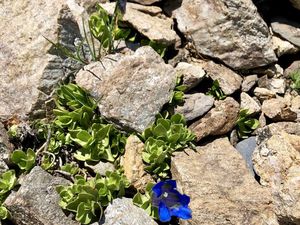 Tout comme la flore (et la faune active), bien présentes