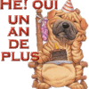 Joyeux Anniversaire!!!!