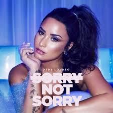 Demi Lovato Sorry Not Sorry Remix