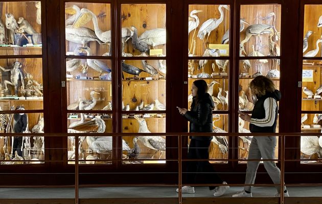 ITS22 Visit Zoological and Geological Universities of Palermo