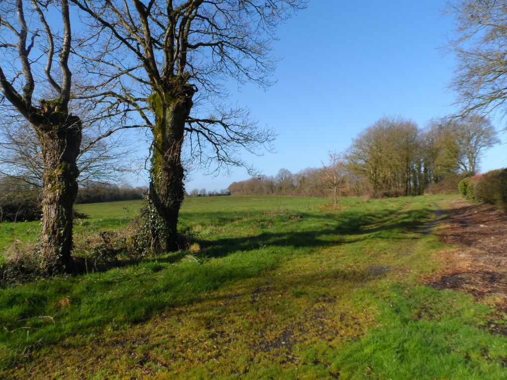 Bois d'âne, IGN, Photo aérienne, vers Les Landes, vers Saint-Louis