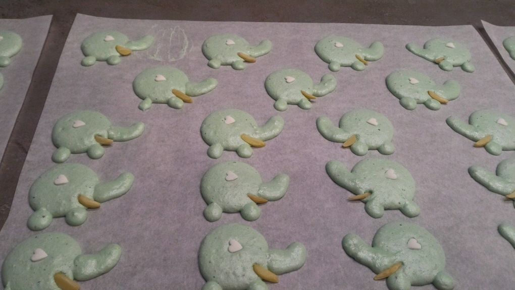 MACARONS ELEPHANT VERT ET LICORNE 