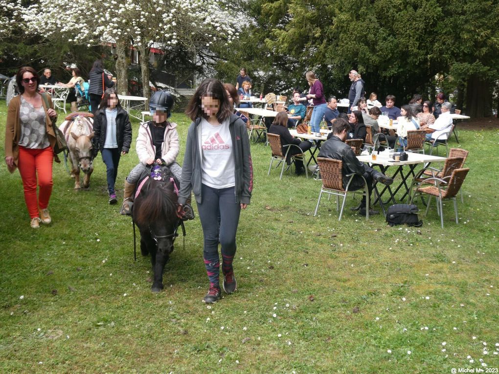 Promenades à poney au chateau des Arènes de Gières