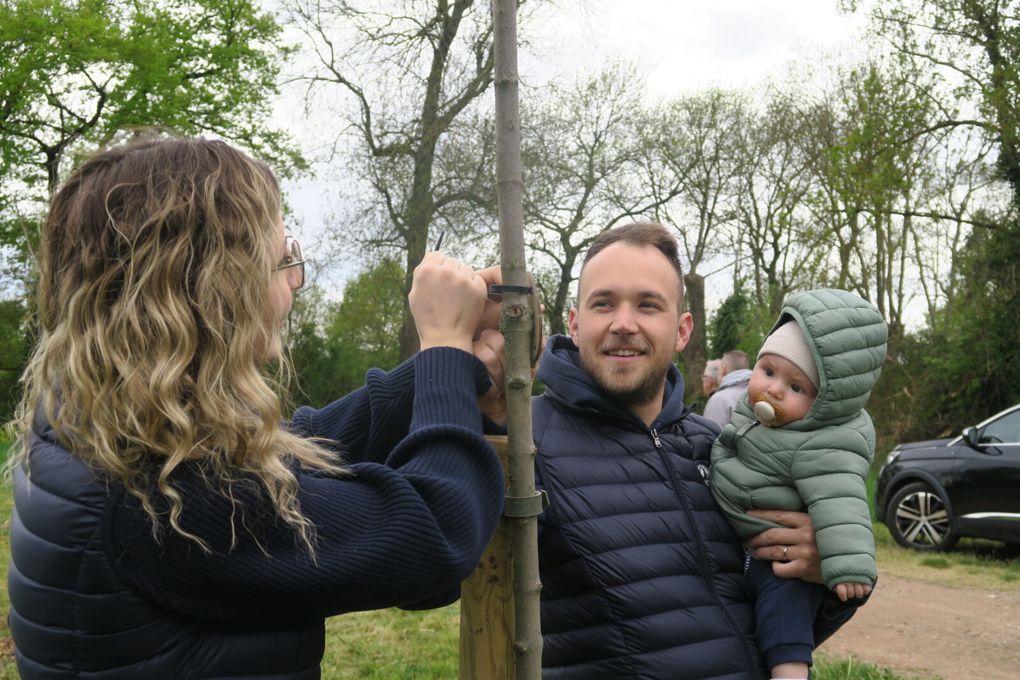 UN ARBRE, UNE NAISSANCE