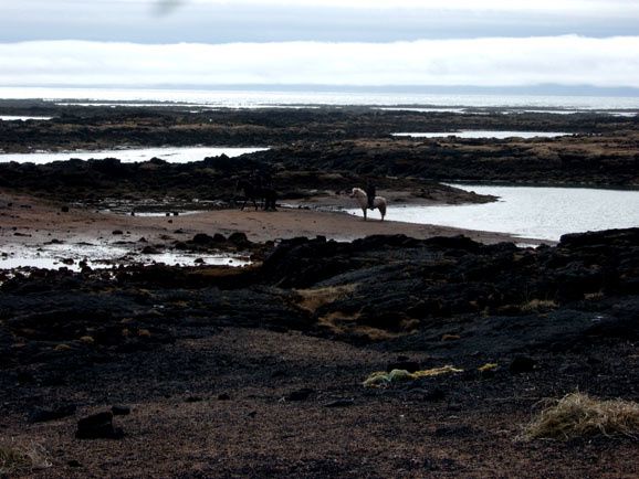 Paysages d' Islande: volcans, cascades, champs de lave et geysers