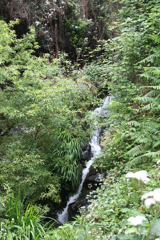 Album - La-Gomera Mai 2014