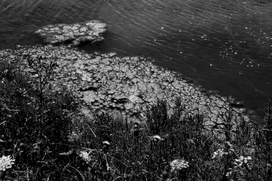 Album - Les Marais-salants de Guerande en noir et blanc