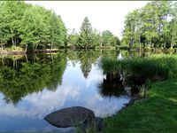 Un peu de tranquillité sur le plateau des 1000 étangs...