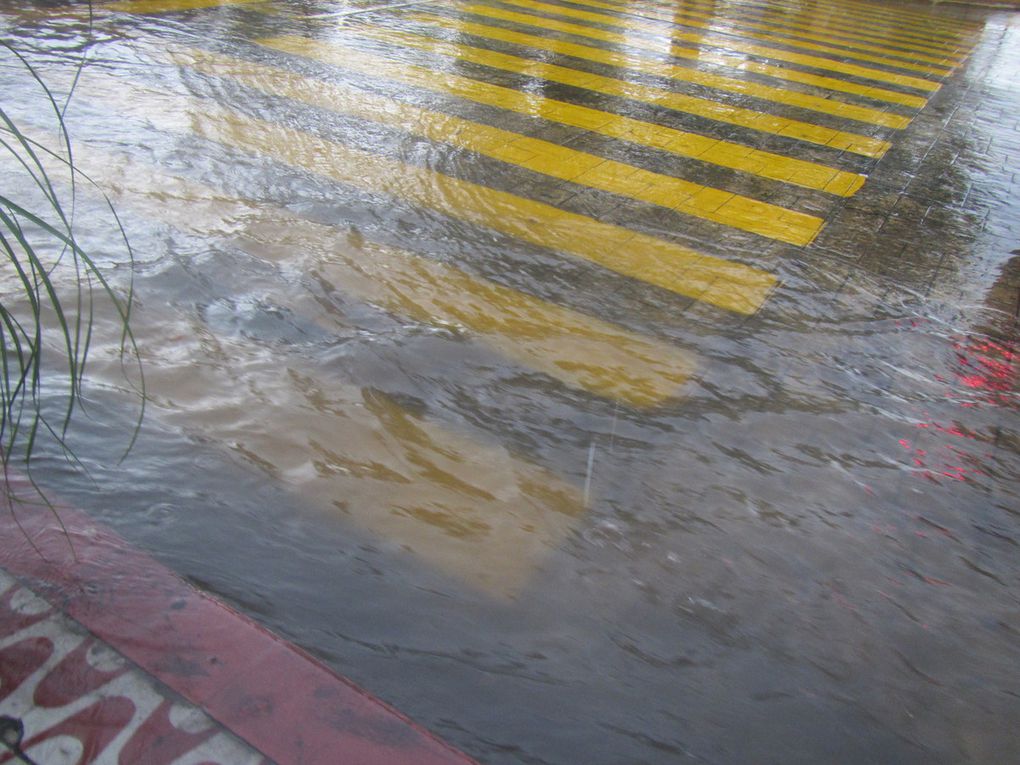 Saison des pluies