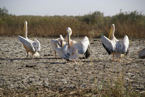 un voyage au coeur du Sénégal en 2010.
