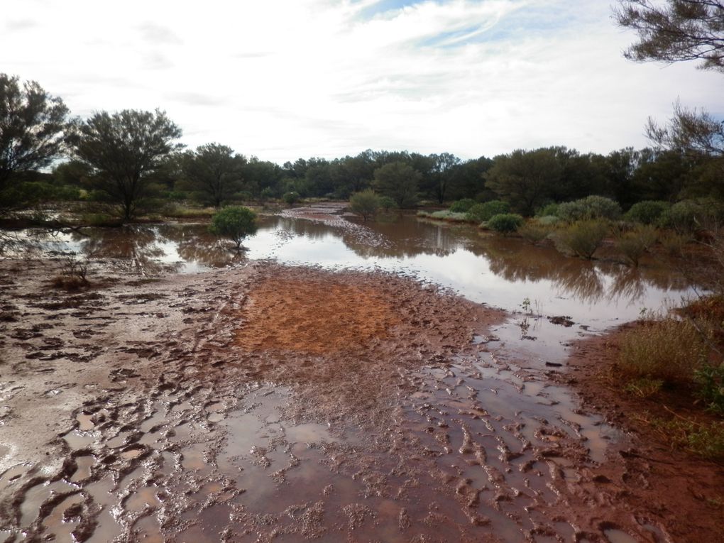 Album - Roadtrip-zum-ULURU-via-Great-Ocean-Road