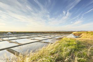 Une pincée de solidarité dans les marais salants de Guérande