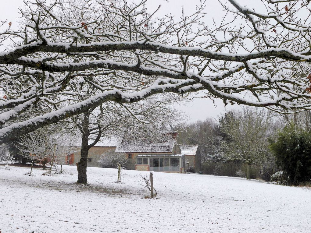 Février 2012, épisode neigeux suivi de froids descendant à Mardié à-12°C, au total quinze jours d'un hiver sévère, éprouvant pour la faune du territoire.