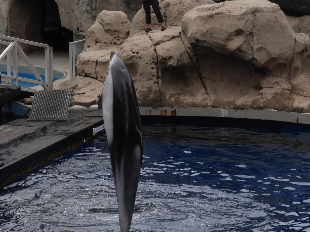 Vancouver Aquarium