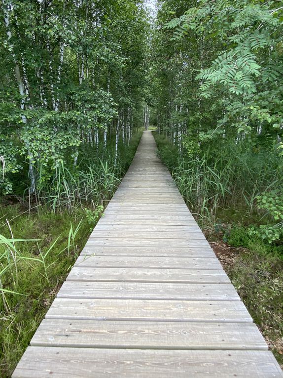 Le chemin des Tourbières, Les Ponts-de-Martel