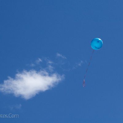 Lundi à l'Ombre...