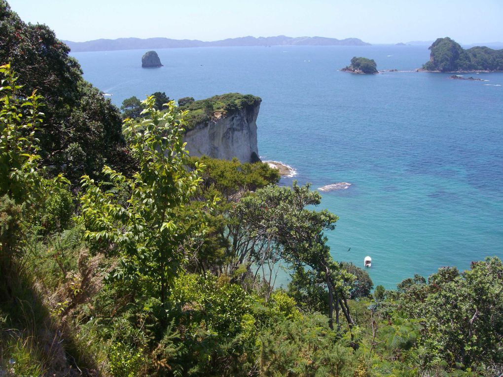 2 jours à Coromandel, Cathedral Cove and Hot Water Beach.