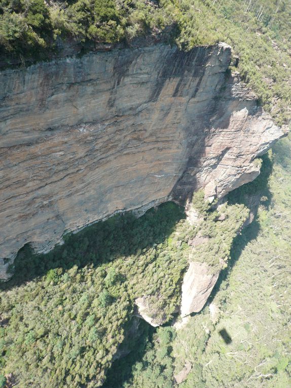 Album - Blue-Mountains