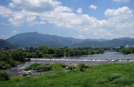 Les bambous d'Arashiyama