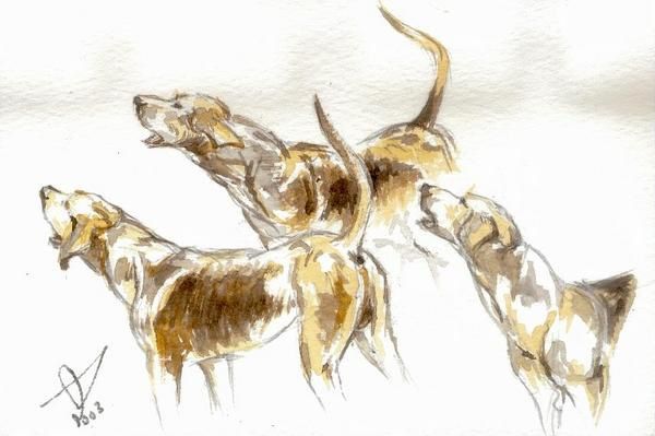 Lavis, aquarelles pastels et crayon aquarellable de chiens de meute